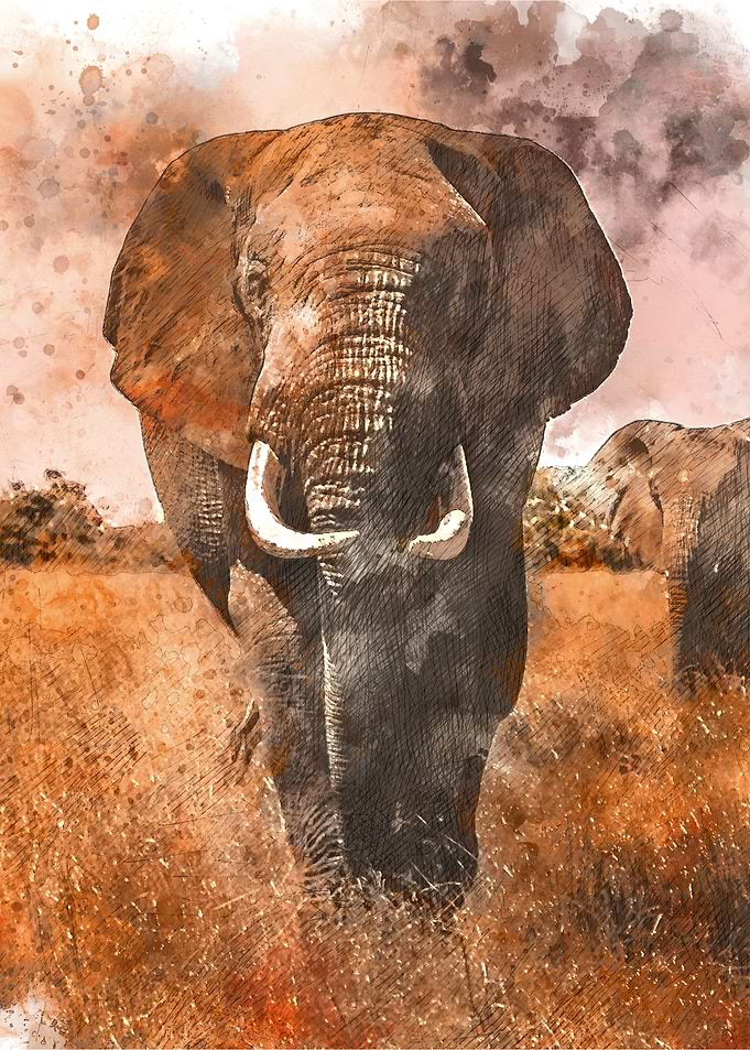 Watercolor Elephant