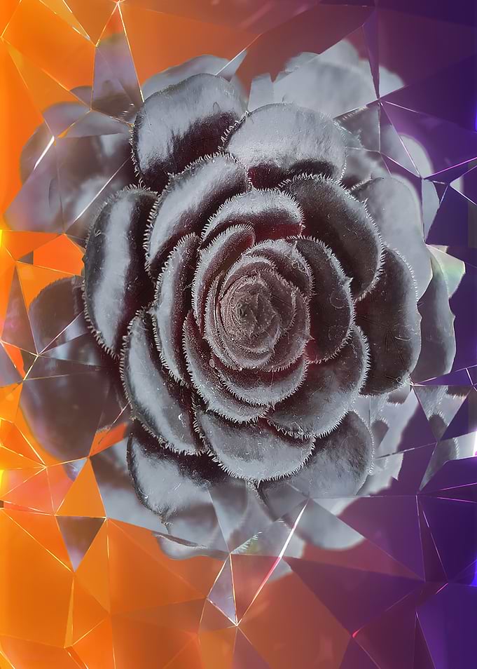 Dimension Flower