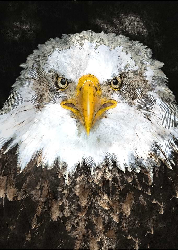 Watercolour Eagle
