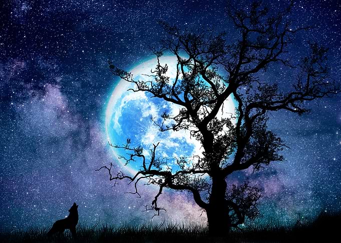 Howling at the moon