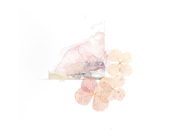 Pressed Flowers