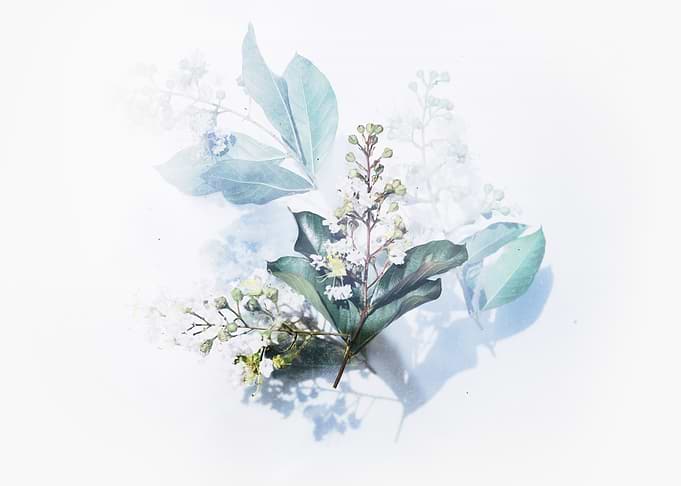 Layers of Spring Flowers