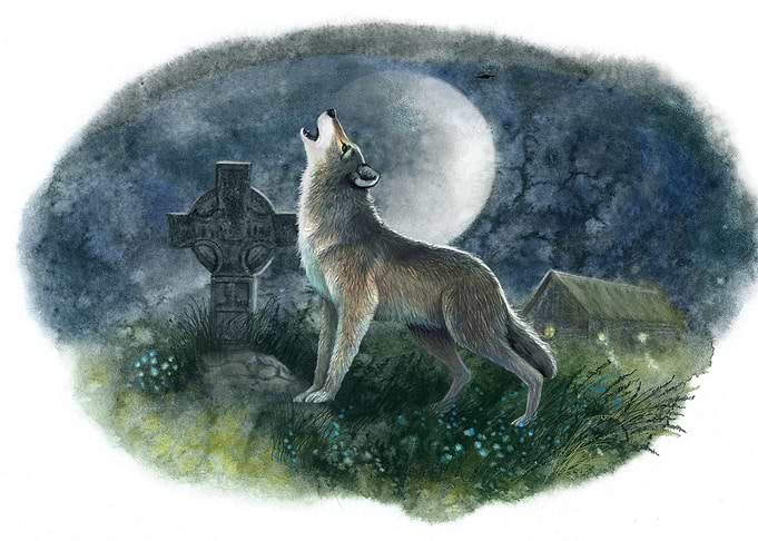 Wild wolf