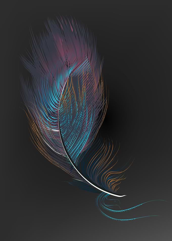 Multicolor feathers