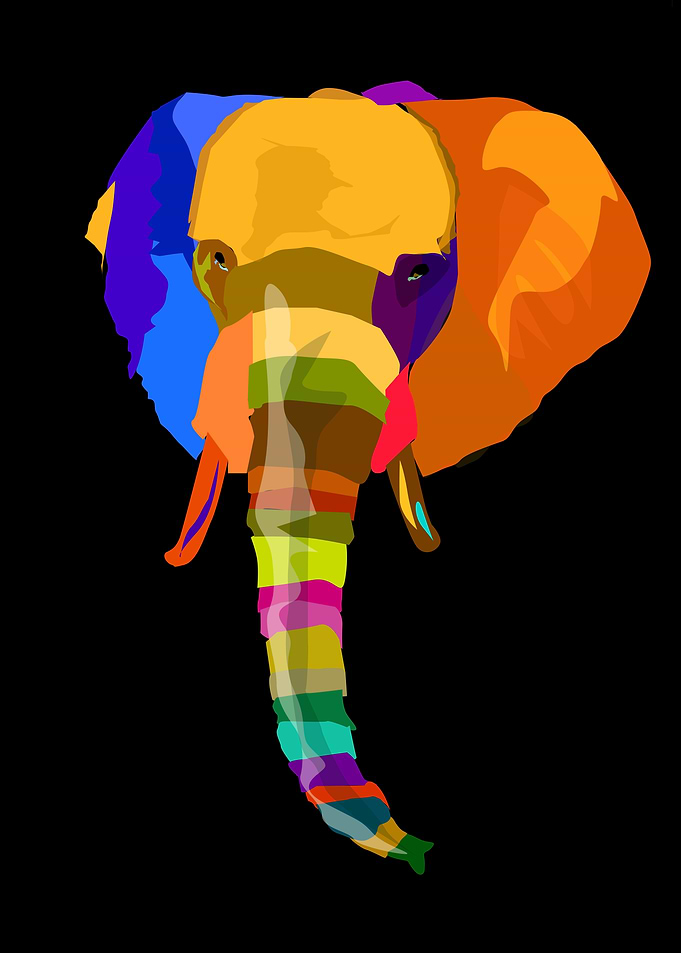 The Colourful Elephant