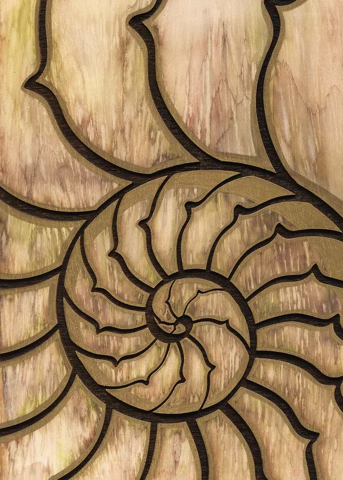 Earth Nautilus