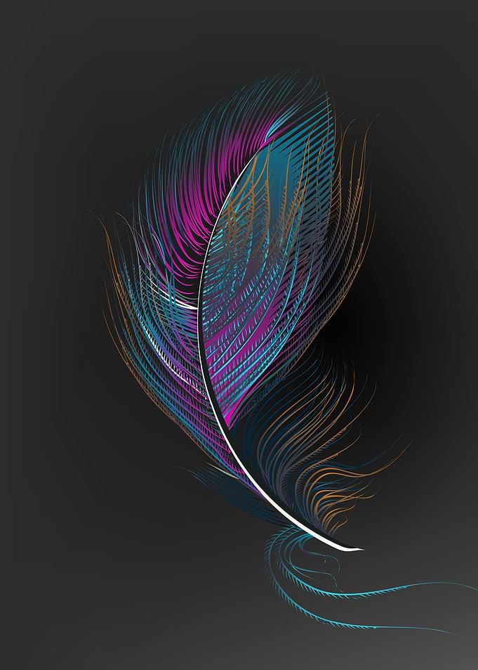 Multicolor feathers