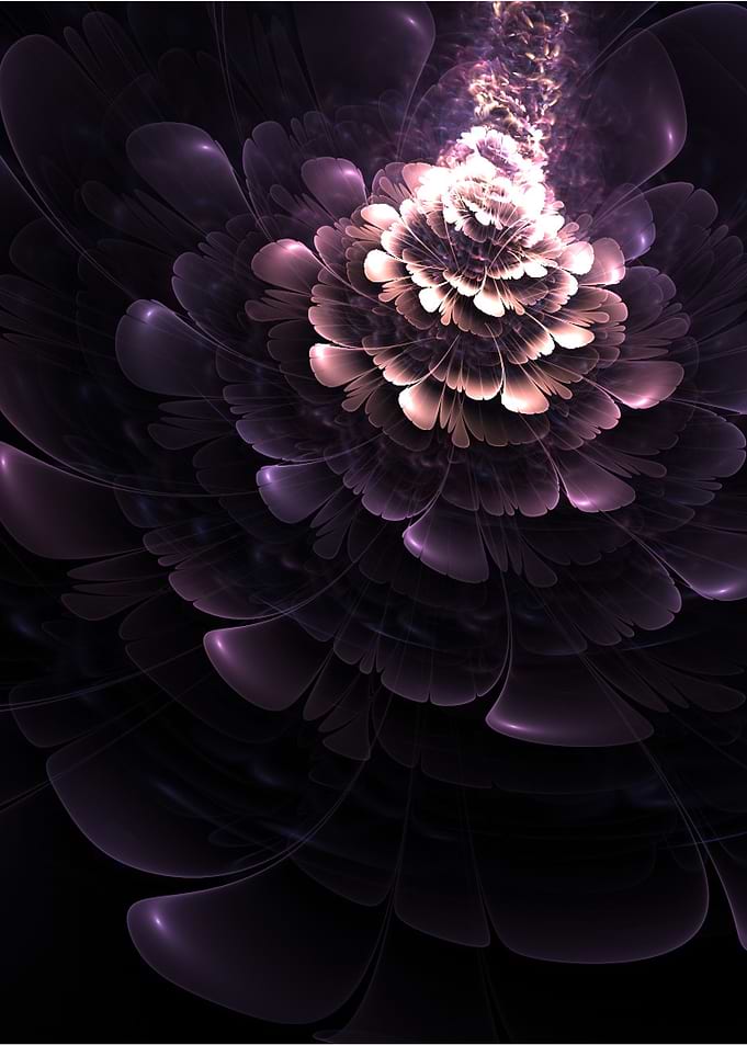 Flower abstract