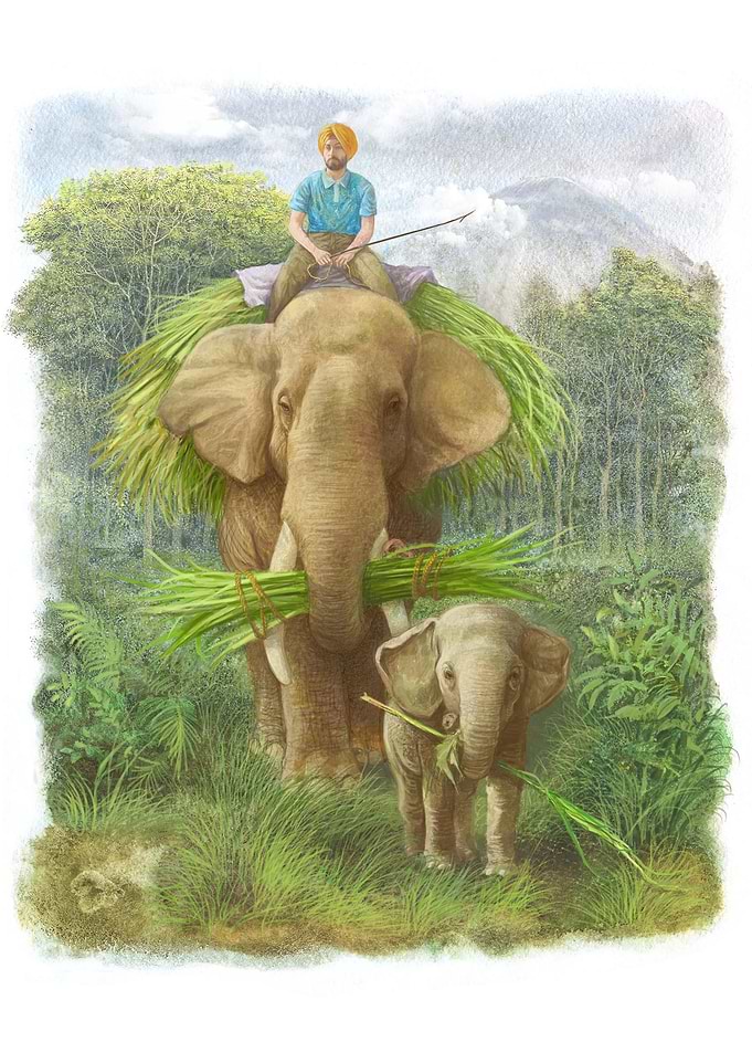 the elephants