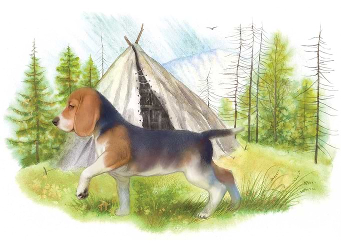 dog