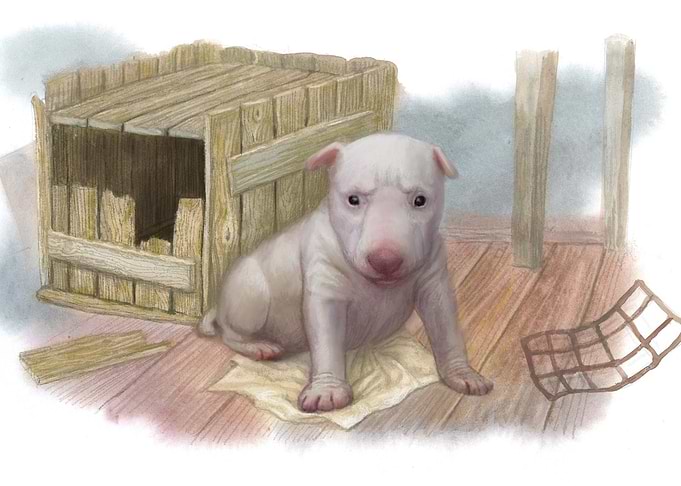 dog