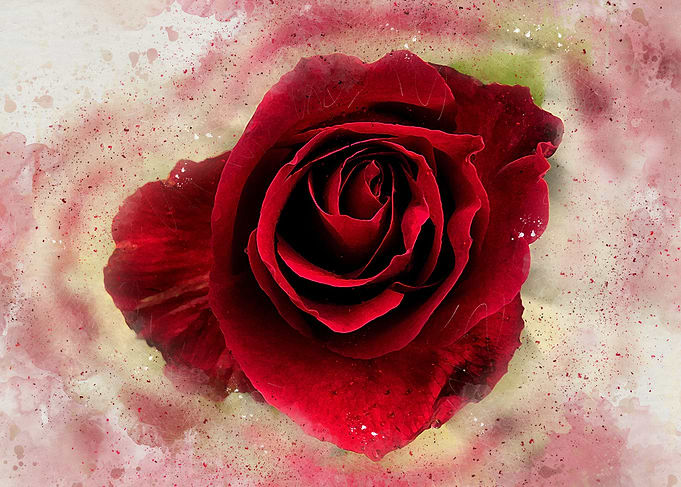 Watercolor painted flower