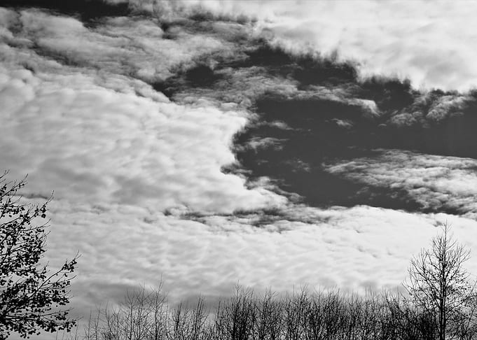 Natural Art