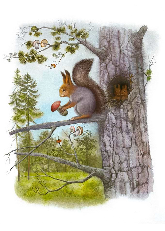 Squirrel