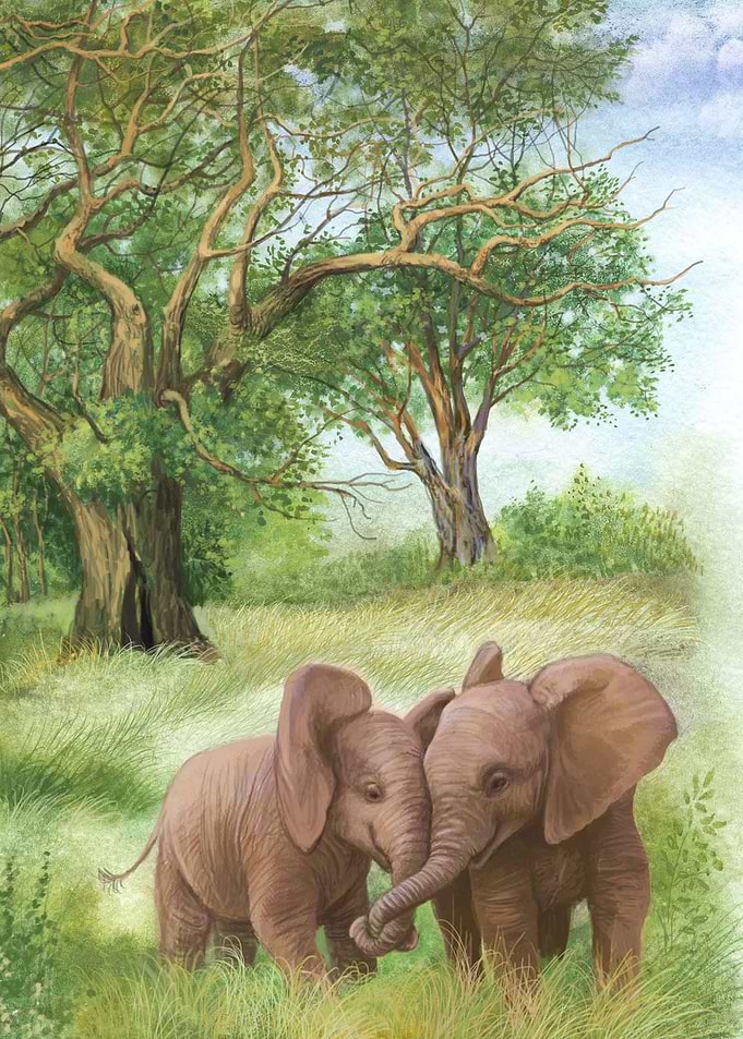 the elephants