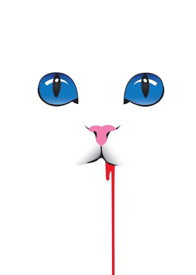Killer Pussy