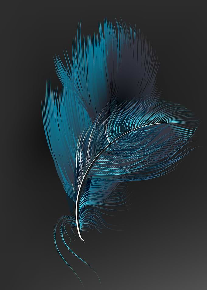 Multicolor feathers