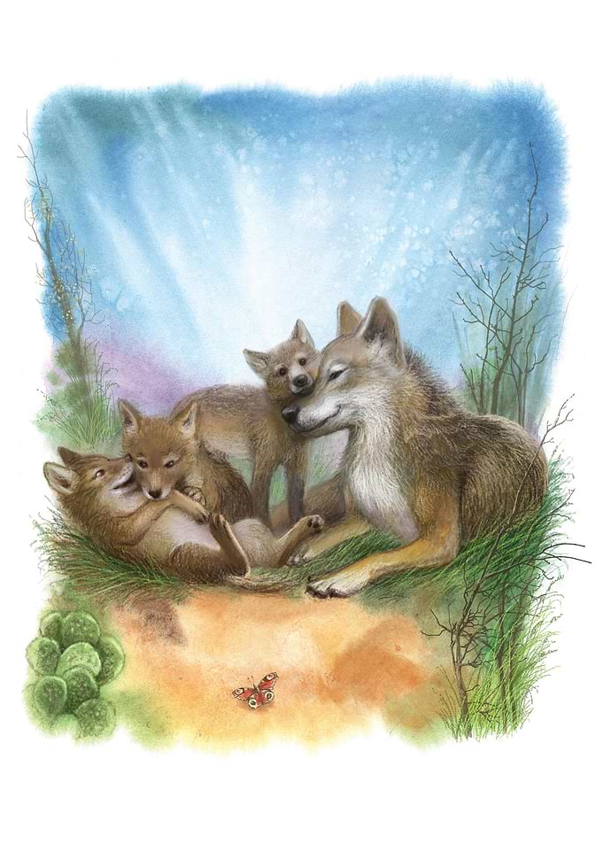 coyot family