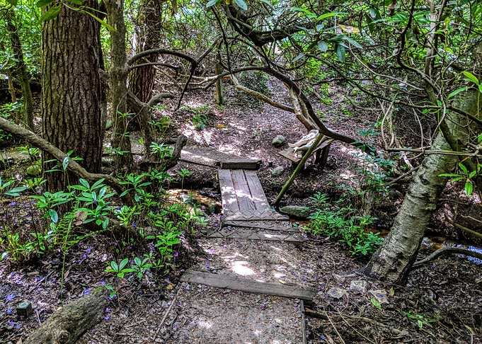 Twisted Pathway