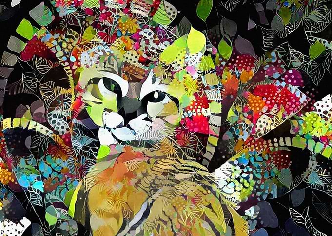 Kitten in colorful leaves