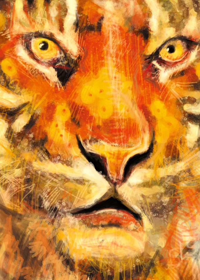 Tigress