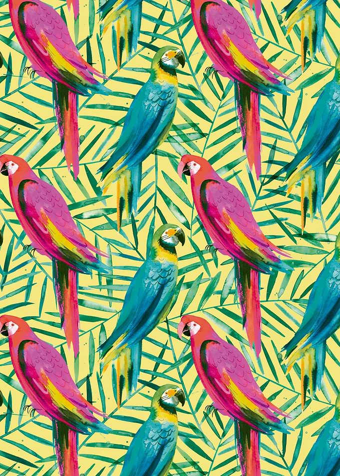 Tropical Jungle Parrots
