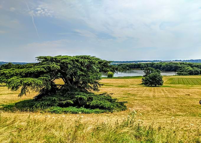 Gatton Park