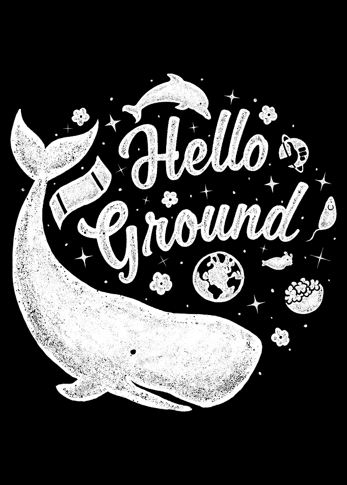Hello Ground