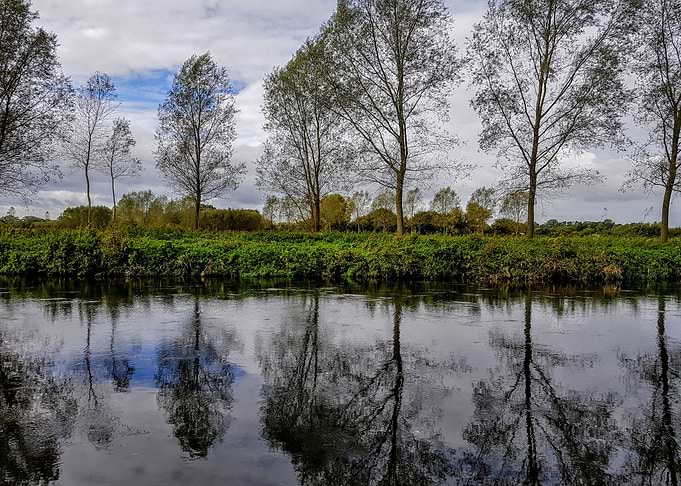 River Reflection