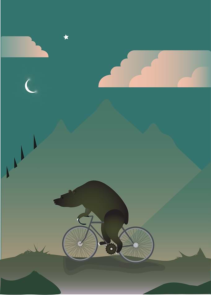 Funny bear on the bicycle