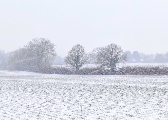 Winterfell