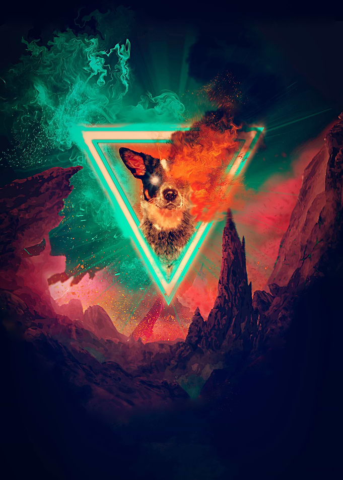 How i met my dog 3