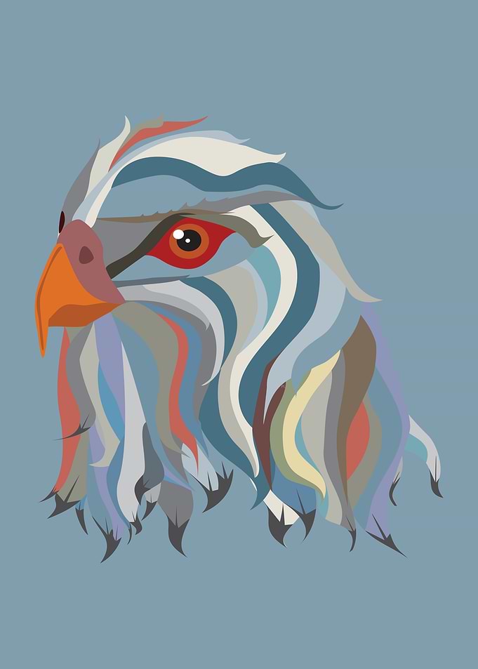 Hawk