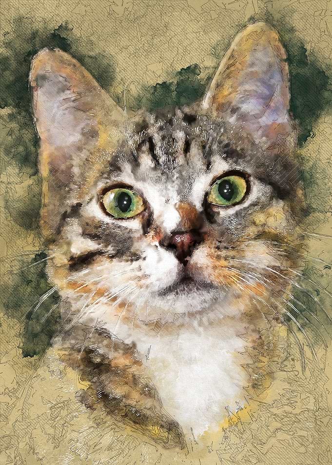Cat Tiger