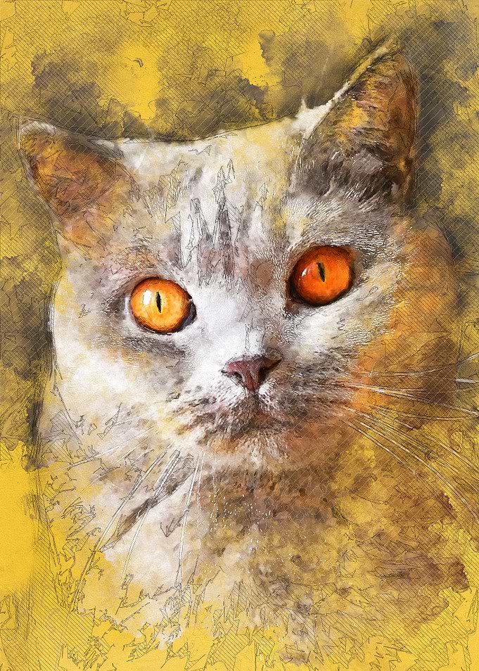 Cat Smokey