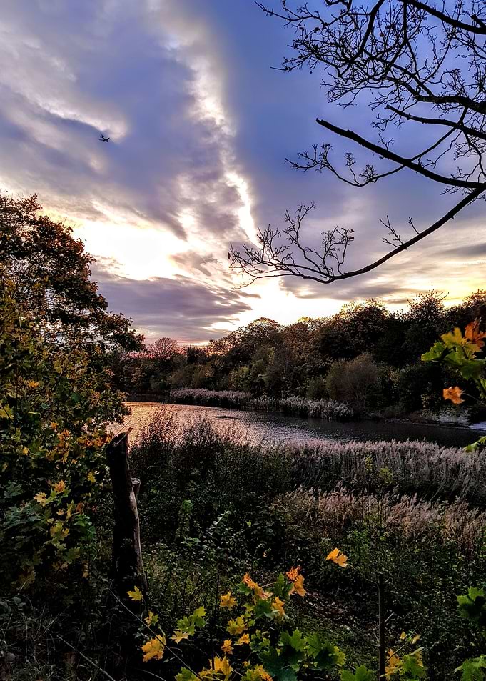 Sunset Mutton