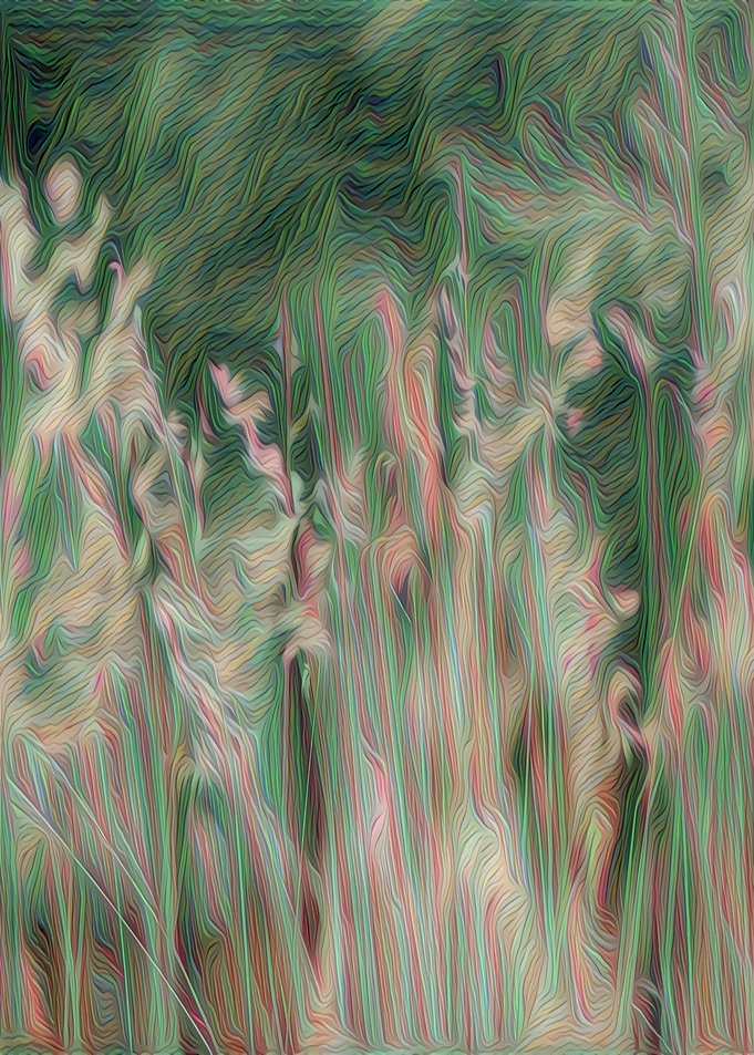 Grass