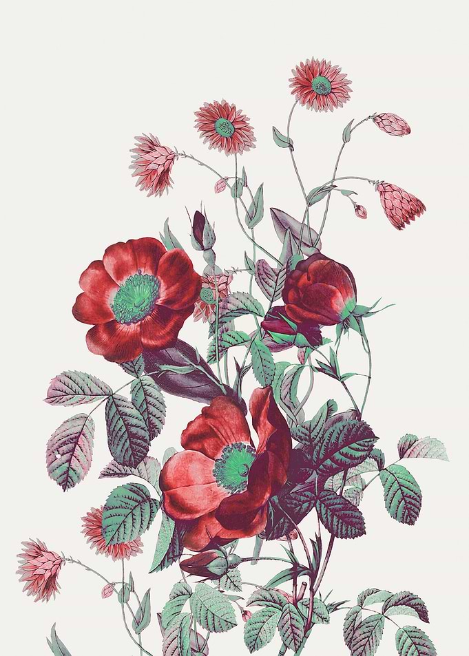 red flowers