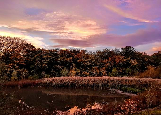 Mutton Sunset