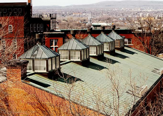 The roof