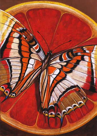 Butterfly Designs 1