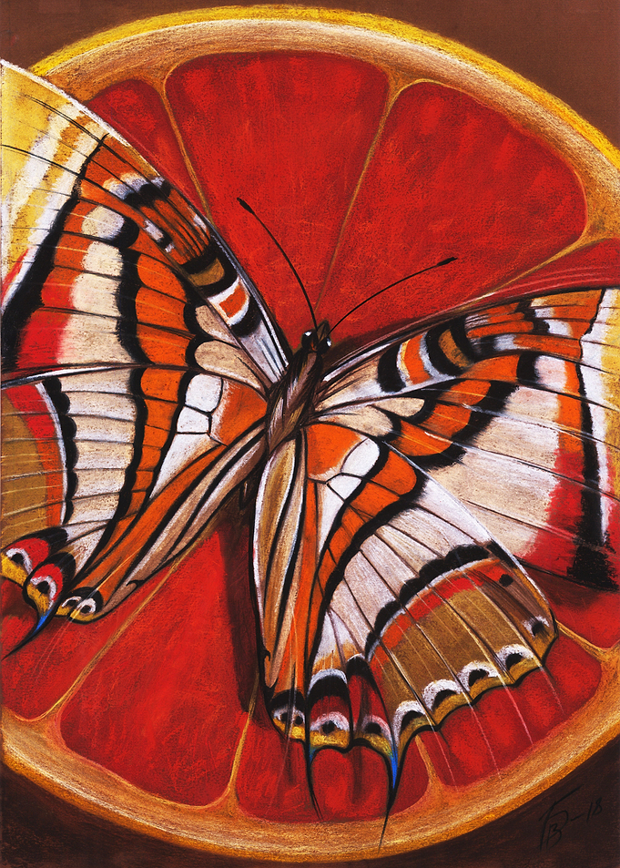 Butterfly Designs 1