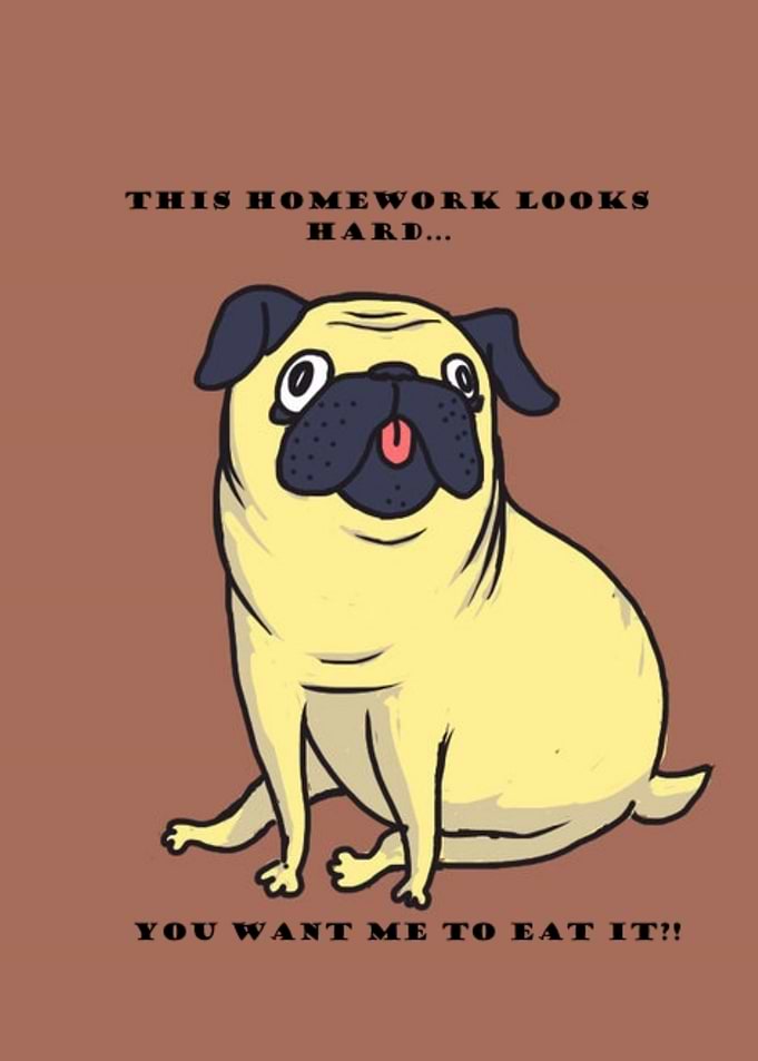 Pug is life