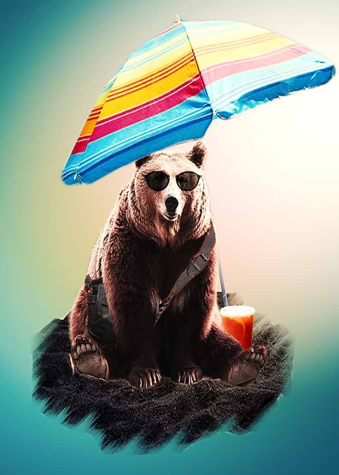 cool bear
