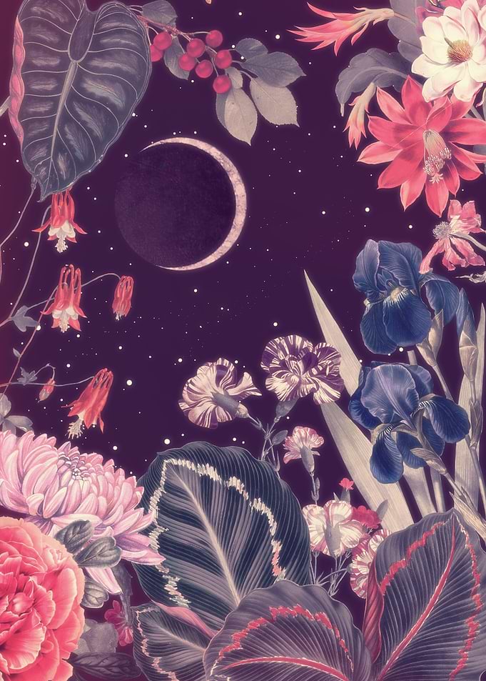 Night Garden