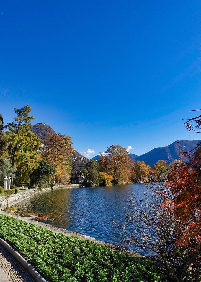 Nature Across Lake
