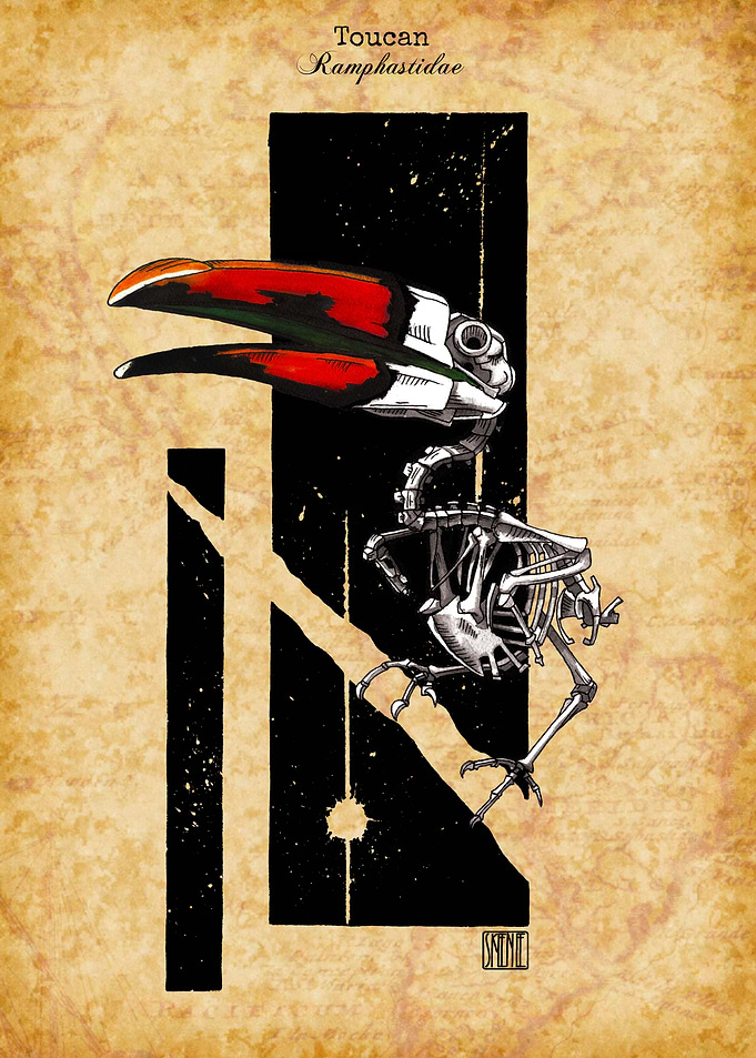 Toucan Skeleton