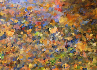 Autumn river