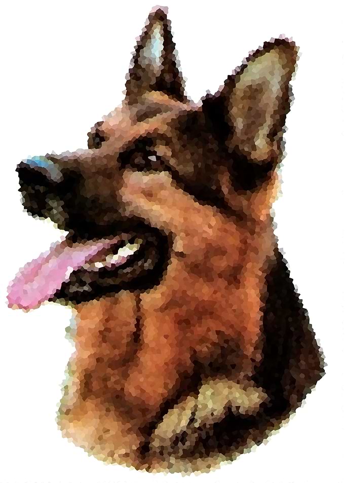 German Shepherd Dog