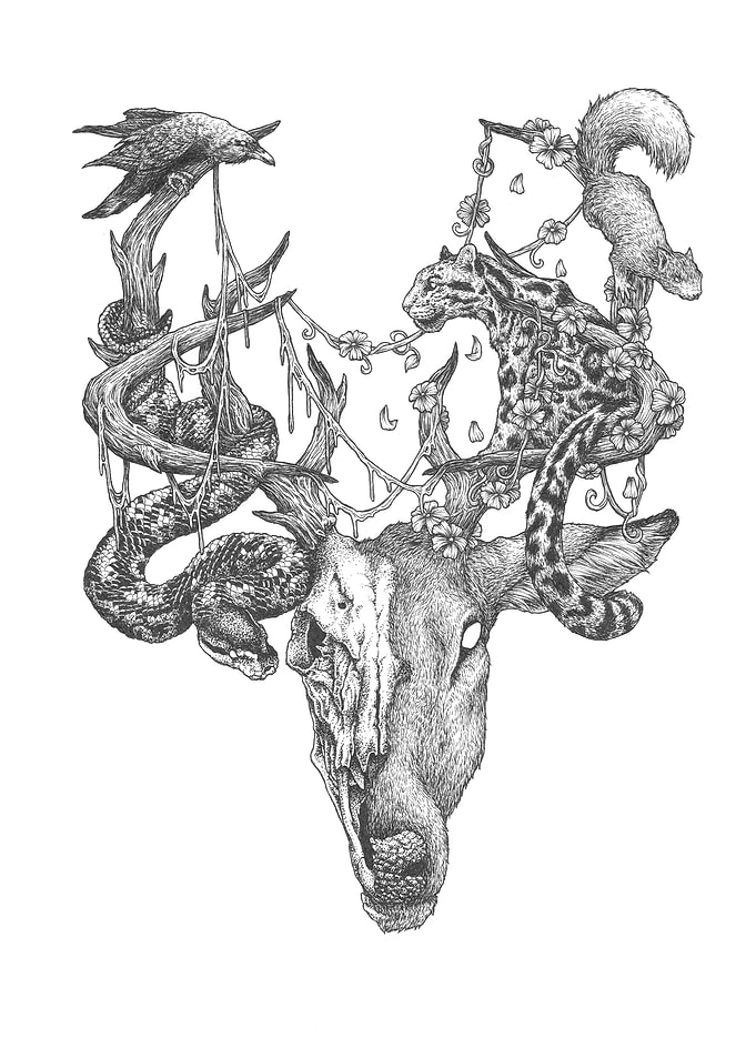 Life and Decay